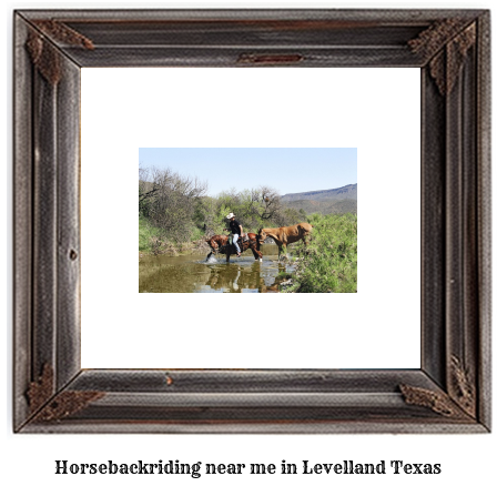 horseback riding near me in Levelland, Texas